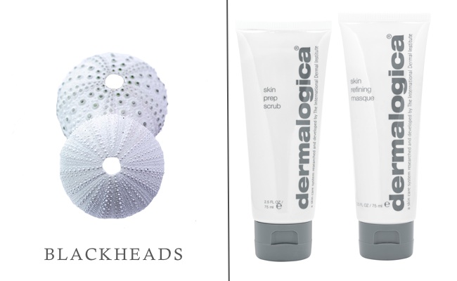 Blackheads_Dermalogica Products2