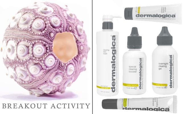 Breakouts_Dermalogica Products2