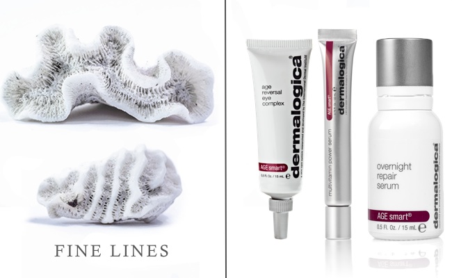Fine Lines_Dermalogica Products