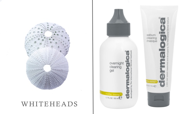 Whiteheads_Dermalogica Products2