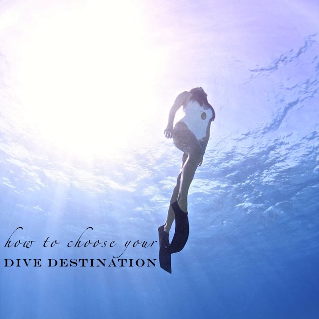 How To Choose Your Dive Destination